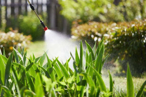 24/7 Emergency Cockroach Control experts in Hidden Valley, IN